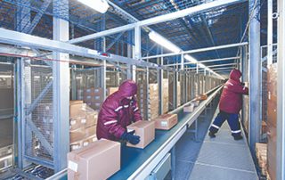 Workers in Cold Storage Warehouse